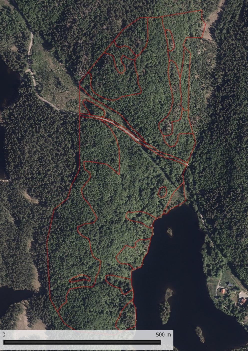 Tabell 7. Fordeling av grunntyper og hovedtyper i Bjellandshaugane NR.