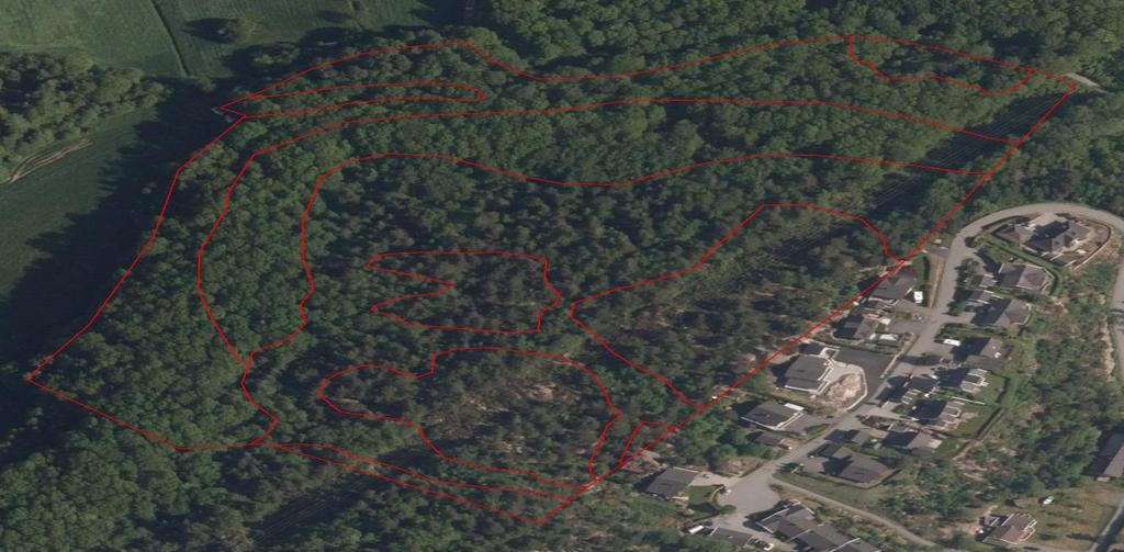 Tabell 10. Fordeling av hovedtyper og grunntyper i Skarsdalen NR.