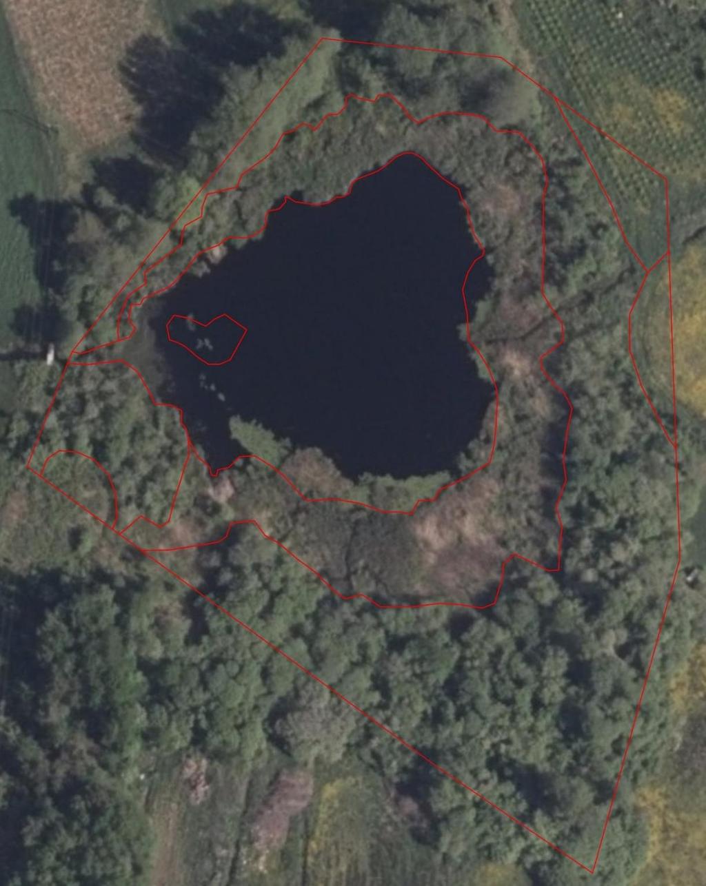 Tabell 11. Fordeling av grunntyper og hovedtyper i Breimosen NR.