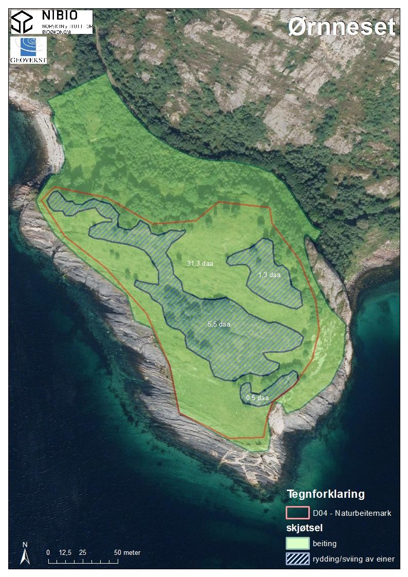 5. Kart over naturbaselokaliteten, beiteområdet og skjøtselstiltak Figur 2. Naturbeitelokaliteten er på i alt 19 daa og avgrensing er vist med rød strek.