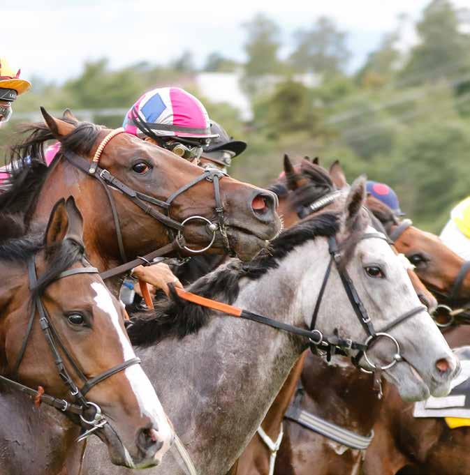 Hovedsamarbeidspartner 2014 ØVREVOLL GALOPP Hovedsamarbeidspartner 2015 Nr. 32/2015 Pris kr 15 ONSDAG 11. NOVEMBER KL. 12.