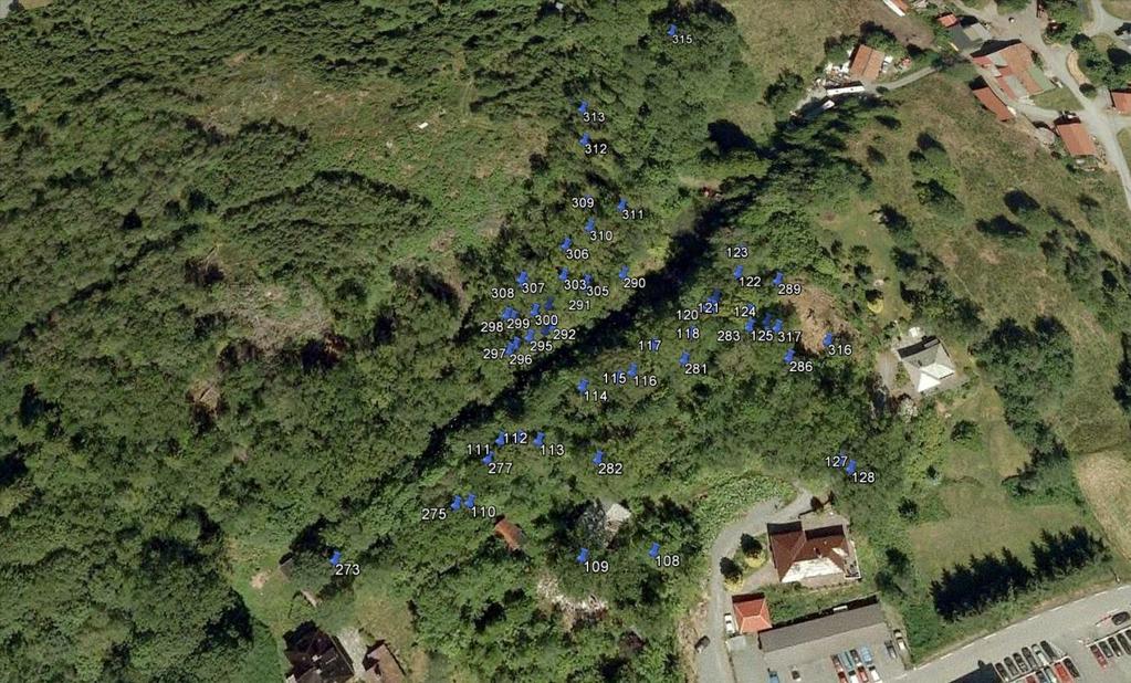 Kartlagte eikeskoger i 2013 Fig. 5. Liland eikeskog med plott av 54 eiketrær med dbh på over 30 cm. 6.1.5 Artsforekomster Det ble foretatt en representativ kartlegging av enkelte artsgrupper i Liland eikeskog, dvs.