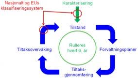 Etter en karakterisering skal tilstanden klassifiseres enten ved basisovervåking eller, dersom tilstanden er moderat eller dårligere - det vil