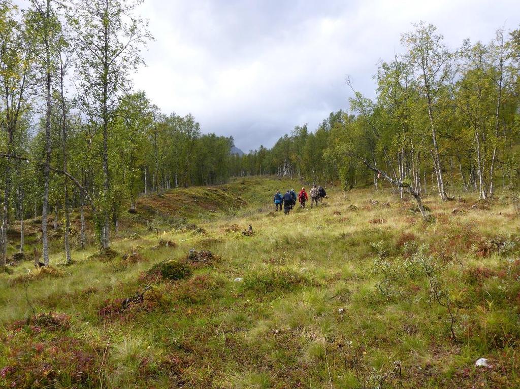 Side 18 bjørkeskogen i landsdelen og på mange måter en transportetappe inn til et større, urørt friluftsområde slik NVE vurderer det.