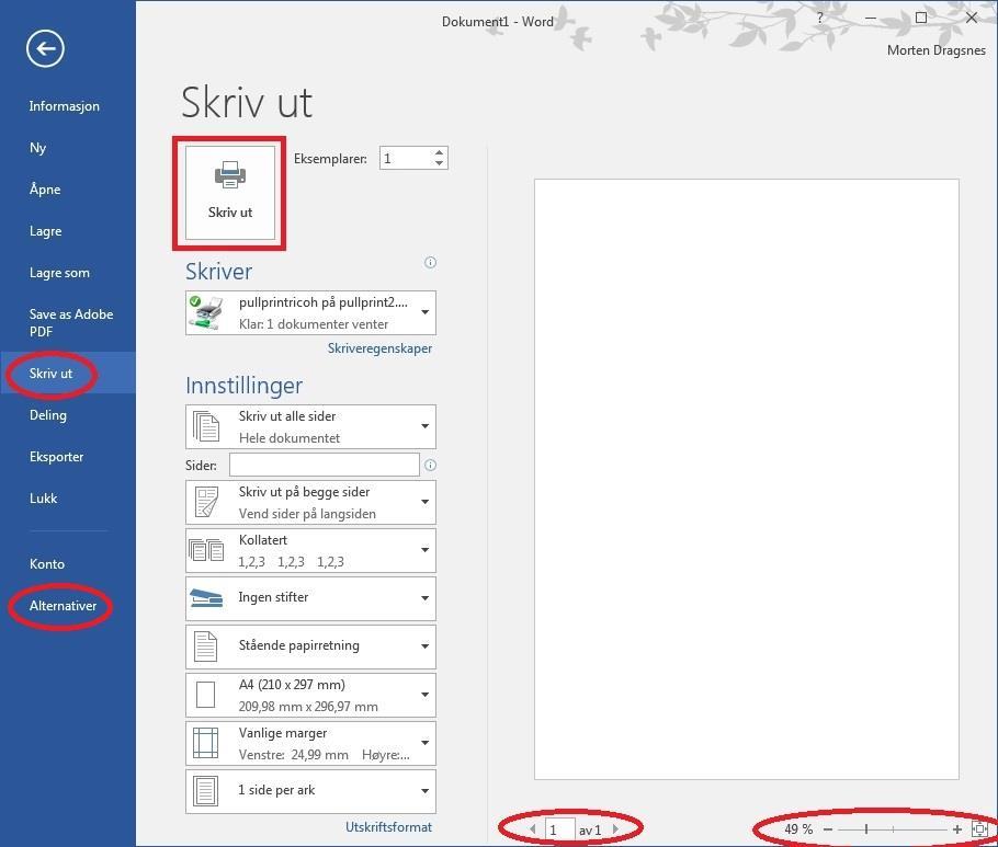 eller flere bestemte sider av et dokument. Det er også mulig å zoome ut og inn i dokumentet i denne visningen. Til venstre er alle de ulike skriverinnstillingene samlet.