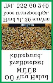 com Tantsumuusika ühemehebändilt igale eale. Õhtu juhtimine. Tel 514 9885 MAHE tõmbab teie peo käima igal pool, igal ajal ja iga ilmaga. Tel 509 7850 Õhtujuht ja tantsumuusika teie peole.