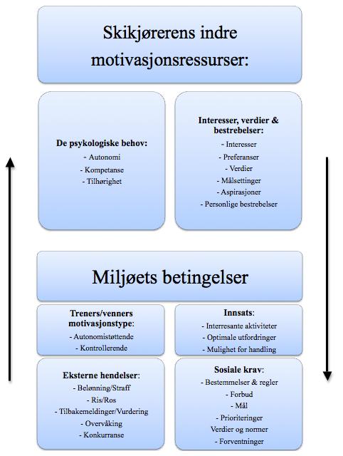 med på å bestemme aktivitetens verdi for individet.