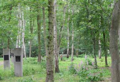 Wijdemeren, NL FAGDAGER,