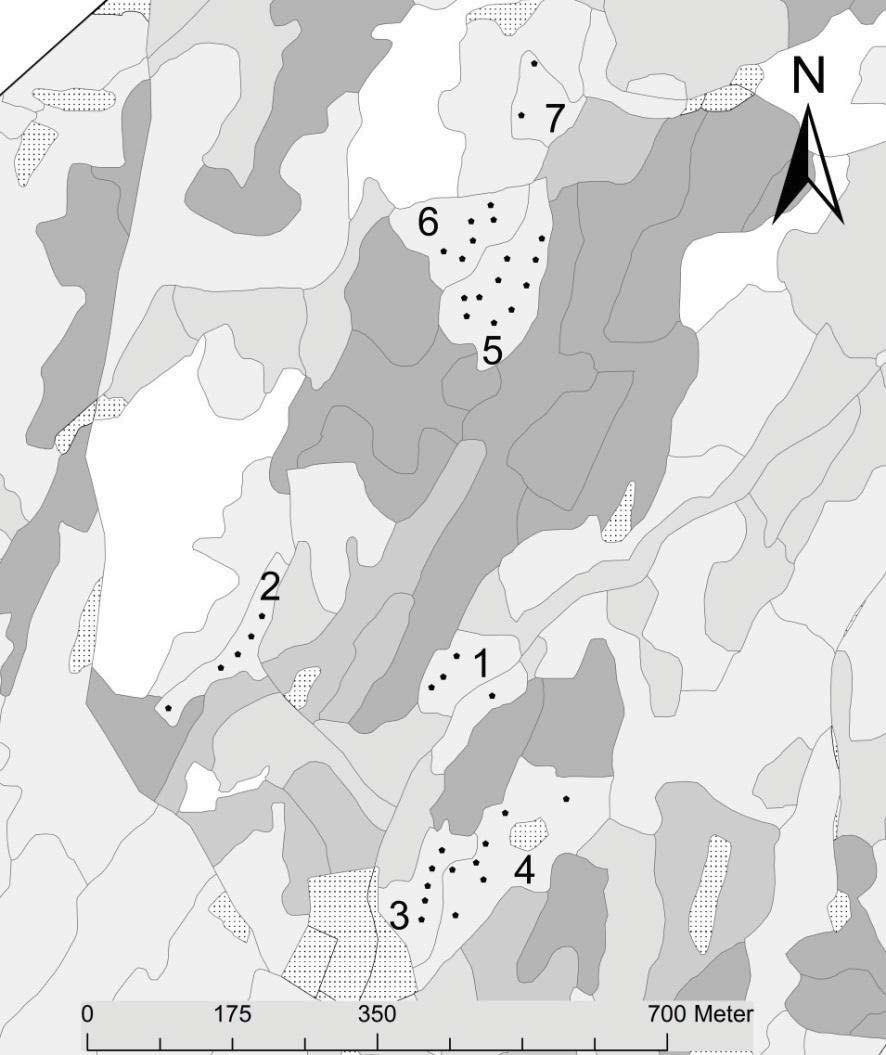 Et av bestandene, bestand nr 2, var et plantet granbestand med en registrert bonitet på 20 etter H 40 - systemet.