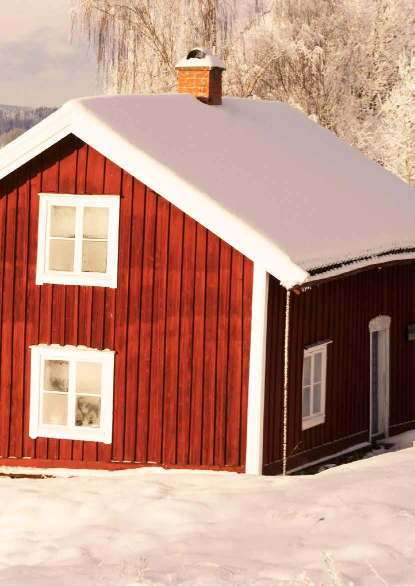 Jeg har skogen i blodet. Min far pleide å ta meg med på jobb da jeg var guttungen. Jeg visste tidlig at jeg hørte hjemme i skogen. Og her står jeg nå, med egen lastebil og tømmerkran.