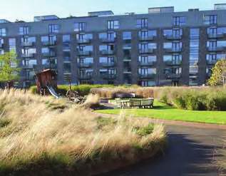 Eksempel på vertikale planteelementer brukt som romdelere, Pilestredet Par, foto:dl Grønne tak På tak over kjøpesenter skal det etableres tilstrekkelig jorddybde