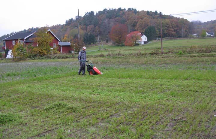 Tabell 6. Hovedeffekt av ulike gjødseltyper på TS-avling (kg/daa). Middel av tre ulike N-nivåer. Table 6. Main effects of types of fertilizer on dry matter yield (kg ha -0.1 ). Mean of three N rates.