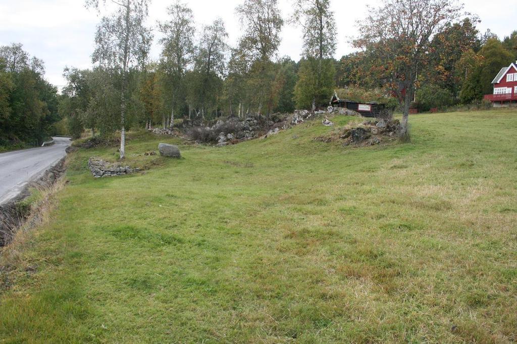 aktuelle lokaliteten merka med grønt sentralt på