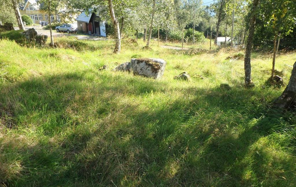 14 Figur 4. Vest i lokaliteten er det ein del areal som er tungt å slå og ein del av dette blir oftast beita når resten av slåttemarka blir etterbeita. Foto; Øystein Folden 12.09.2015.