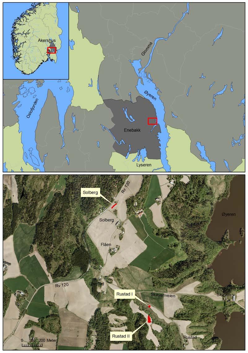 Figur 1: Oversiktskart med utgravingsområdene merket i rødt. Kartgrunnlag: Statens kartverk. Tillatelsesnummer NR12000-150408SAS. Produsert 1.7.2010 RB.