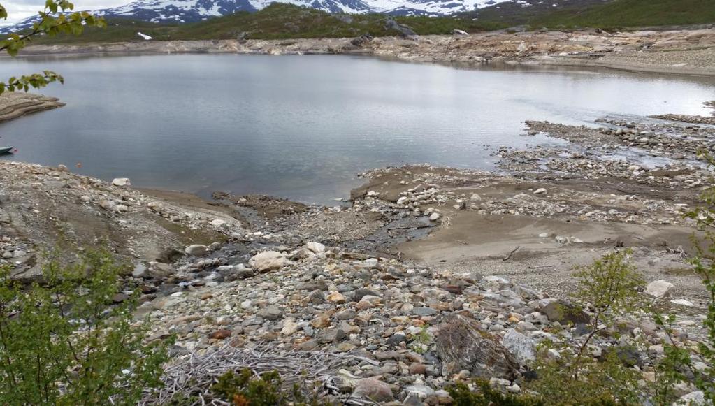 5 Naturvernforbundet i Rana og omegn Naturforbundet i Rana og omegn går i mot at konsesjon blir gitt til noen av de omsøkte småkraftverkene, først og fremst fordi Rana kommune allerede har gitt mye