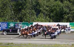 KUSKE CHAMPION - A LISENS AMATØR CHAMPION TRENER CHAMPION A+B NAVN ST 1 2 3 PREMIE NAVN POENG 1 Eirik Høitomt 146 25 13 11 943.500 2 Geir Vegard Gundersen 97 19 8 6 1065.