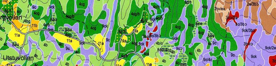 4.3 Farge og symbolbruk Vegetasjonskartet kan lesast på to nivå etter kor detaljert informasjon ein er ute etter. Fargene i kartet er det enklaste nivået.