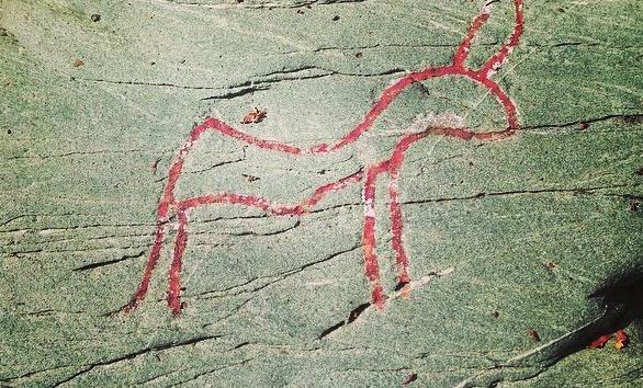 Noen natur- og kulturlandskaper er tilknyttet våre museumsanlegg. Slike utflukter kan gjerne kombineres med skoleturer. Vi stiller gjerne også med ulike aktiviteter knyttet til området som besøkes.