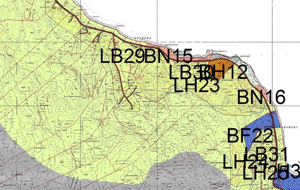 Deler av eiendommen inngår i LB29 det kan settes opp inntil 2 bolighus i hvert av områdene.