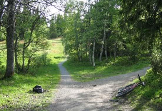 Har vi endt opp med to lokalledd