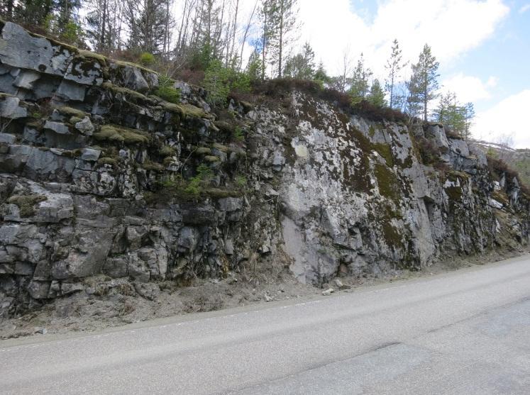 Bakgrunn Vegstrekningen fra Olsøykrysset (krysset mellom Fv. 715 og Fv. 720) til Årnes i Åfjord er 37,5 km lang.