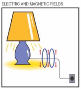 s i d e 14 E M F b e s k y t t e l s e Frekvens Frekvens = antall svingninger per sekund. Måleenhet for frekvens er Hertz [Hz]: - 1 Hz = 1 svingning pr sekund (dvs.