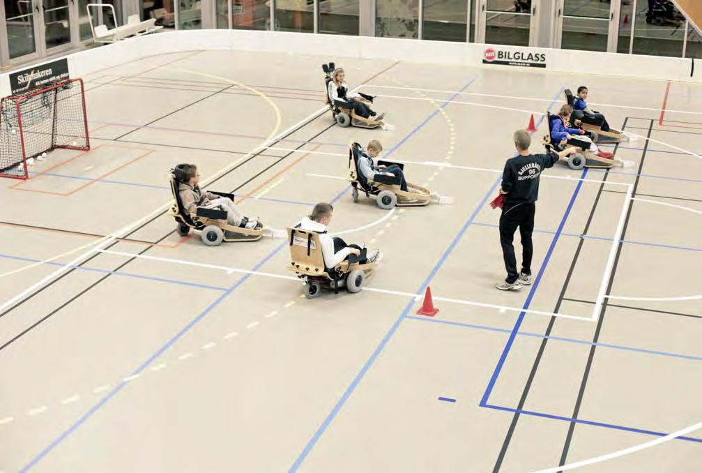 VEILEDER Planlegging og bygging av idrettshaller El-innebandy. Foto: Jenny Solem Vikra, Minsk de store flatene. Den må også tilpasses omgivelsene og landskapsrommet på stedet.