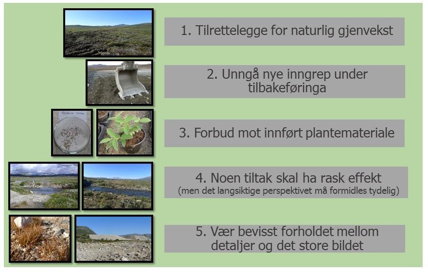 2. LANDSKAPSFORMING OG VEGETASJONSETABLERING 2.