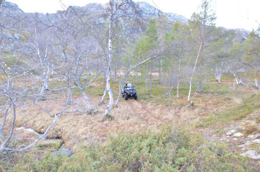 ukesverk. Sikkerhet og bedret framkommelighet.