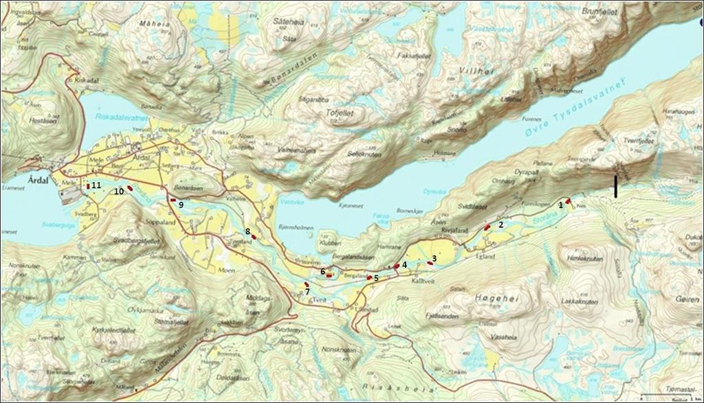 Ungfiskundersøkelser i Årdalsvassdraget november 211 Kart med