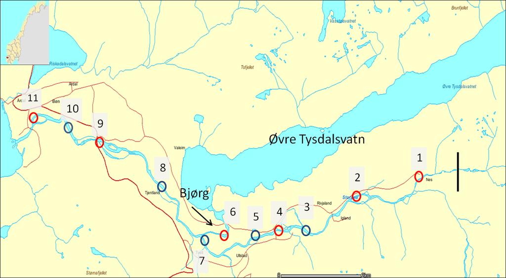 Ungfiskundersøkelser i Årdalsvassdraget november 211 Figur 2.1. Prøvefiskestasjoner i Storåna og Bjørg.