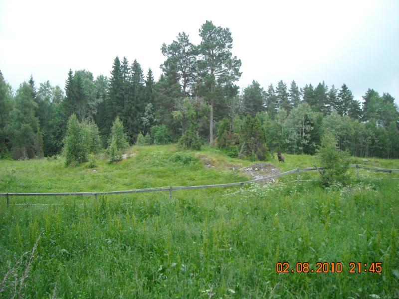 Beskrivelse av delområder Delområde 1: Naturbeitemark lengst mot vest. Fint landskapselement, men relativt artsfattig. Grasdominert eng. Koller med noe artsrike vegetasjon. Delområde 1. Naturbeitemark lengst mot vest Delområde 2: Partier med naturbeitemark langs med stien.