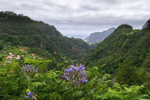 Valgfri utflukt til naturreservatet Ribeiro Frio og en av de høyeste fjelltoppene på Madeira.