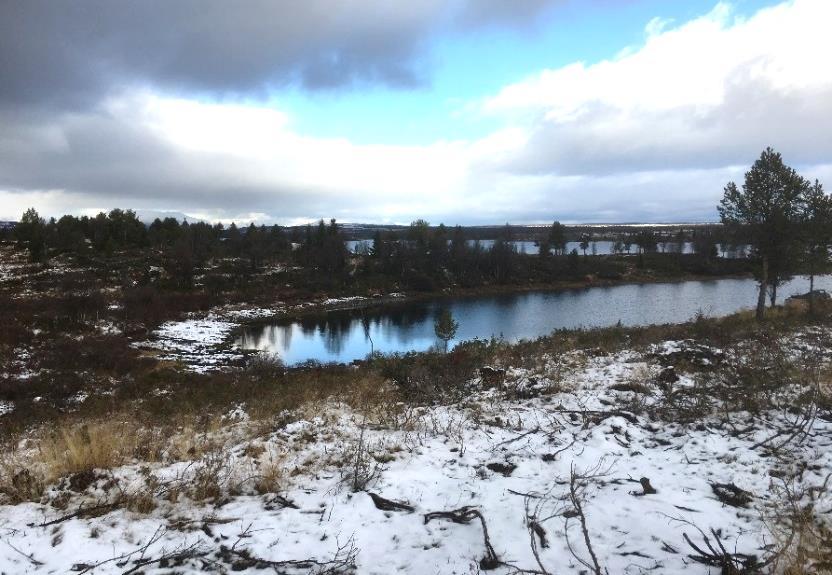 Privat detaljregulering Oset hyttefelt 13 4.8 Veg og trafikk Adkomsten til området kan foregå både fra Valdres via vegen ved Tisleiadammen eller fra sør via Golsfjellet.