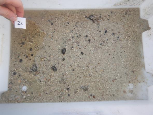 Innholdet i grabbhugget var av mer grovkornet enn finkornet art, hvor skjellsand dominerte ved 3 stasjoner (st. 1-3), en stasjon var på steinbunn (st. 4) og sedimentet ved en stasjon (st.