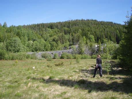 Sør for denne tunnelinngangen er det en flate som strekker seg østover langs hele planområdet.