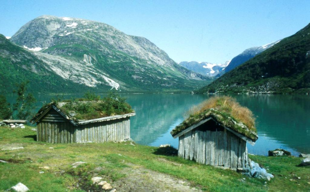 med overvåking av sur nedbør