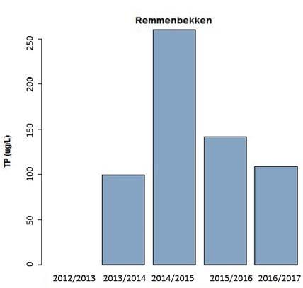 4.8 Remmenbekken Den gjennomsnittlige konsentrasjonen av i Remmenbekken i hele overvåkingssperioden er 159 µg/ L, dette er den høyeste gjennomsnittlige verdien i overvåkingsprogrammet i