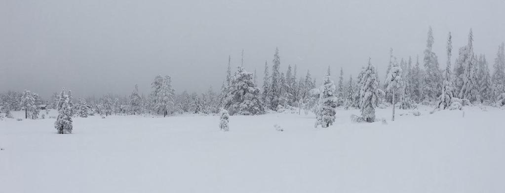 Friluftsliv og tilgjengelighet til fjellområdene Traseen vil legges i terrenget og vil ikke oppfattes som en barriere i hoveddelen av året.