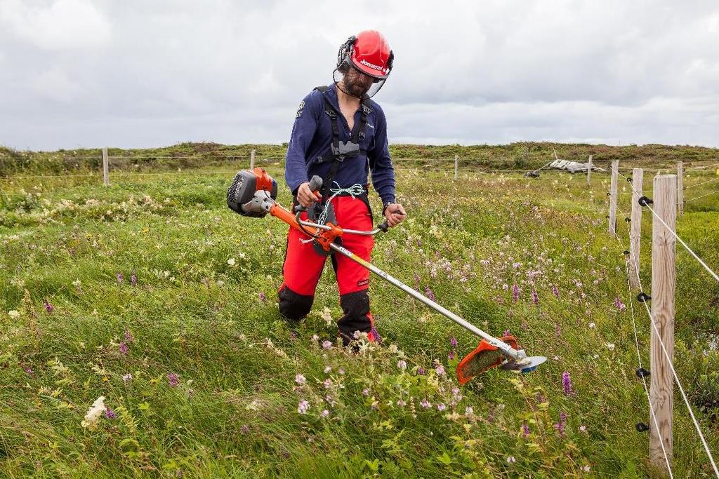 Figur 23: Ryddesag med sagblad eller helst trekantblad er et godt egnet hjelpemiddel for å gjennomføre slåtten.