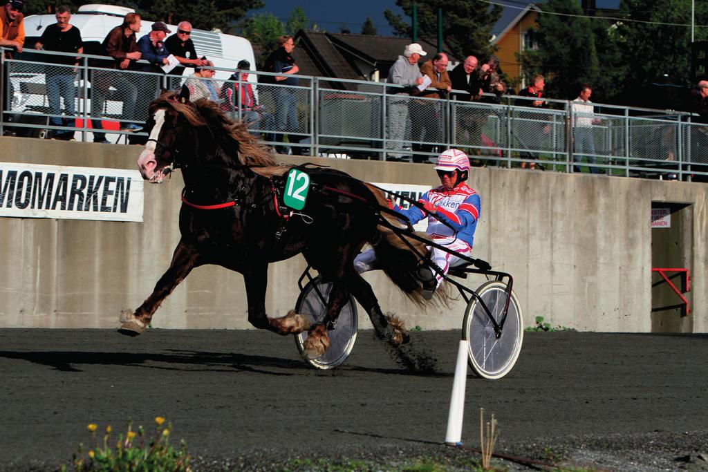 SLÅTTODIN 25.9-23.3-744.181-63 starter derav 22 seire, 10 andre og 6 tredje Rød vakker hingst med lys man og hale. Veldig startrask natur traver.