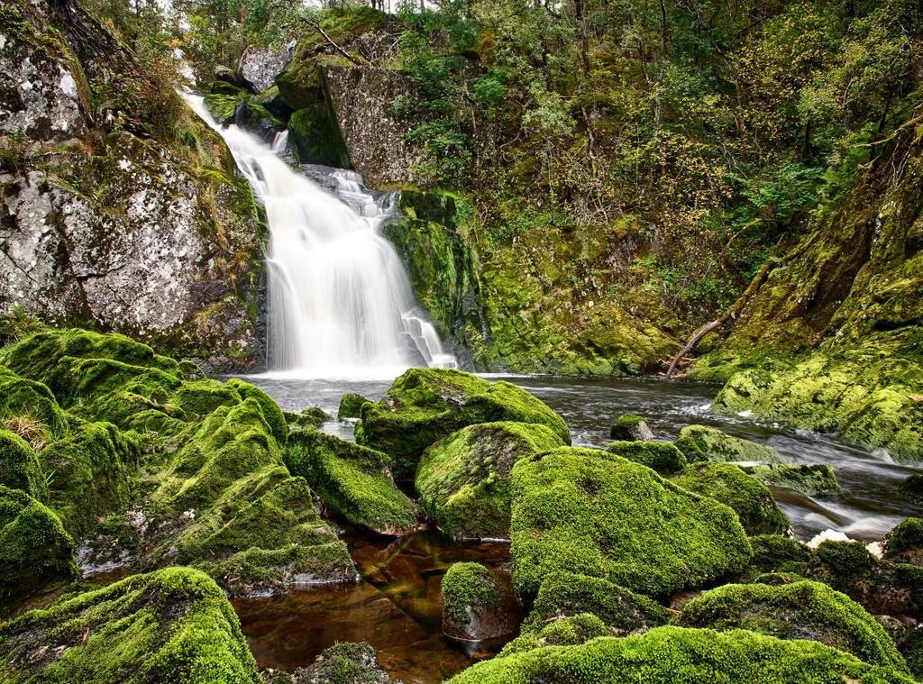 Om dei ulike lokalitetane. Bakkafossen, Årvik ( LM 07371608), naturtype bekkekløft. Lokaliteten ligg like ved fylkesveg 734 der Bakkafossen stuper ned.