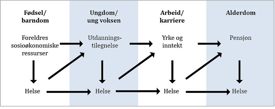 Figur 6: Det dynamiske forholdet mellom helse og