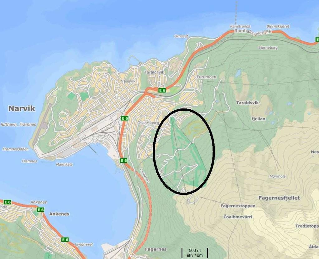 1 Bakgrunn I forbindelse med ny områdeplan for Narvikfjellet har Sweco på oppdrag fra Narvikfjellet Eiendom ved NN utført konsekvensutredning mht.