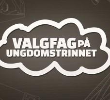 Valfag Ulstein