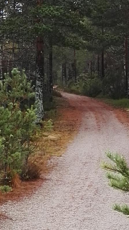 Målgruppe Tur og sykkelløypa fra Åmli til Treungen på 33 km har et meget stort potensial og mange potensielle kundegrupper.