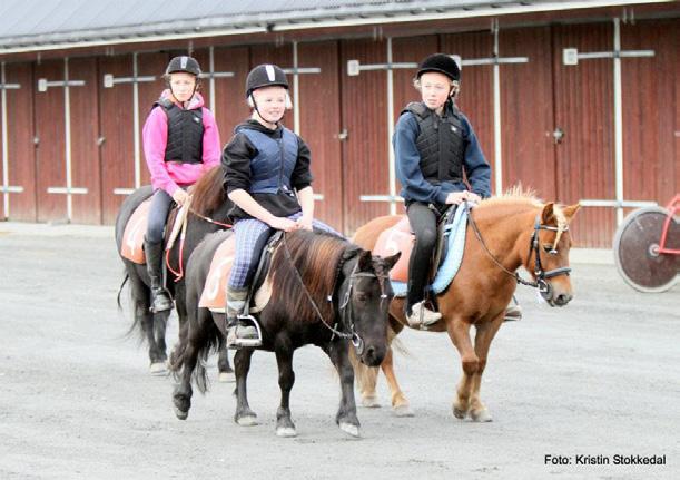 Kom og opplev hestesport for store og