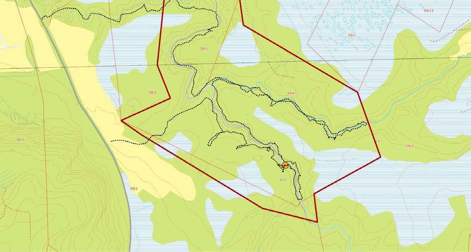 2.2 Flenga naturreservat (Overhalla kommune, Nord-) Resultat: Granfiltlav ble funnet kun funnet på ett eneste tre, som sto ganske høyt oppe i nordvendt side av søndre ravinearm.