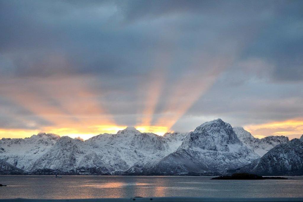 BRUKERUNDERSØKELSE OMBORD PÅ SAMBAND: NEX2 BODØ